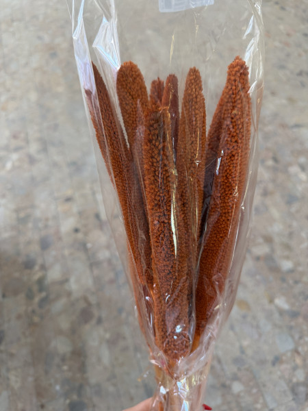 Babala narancs