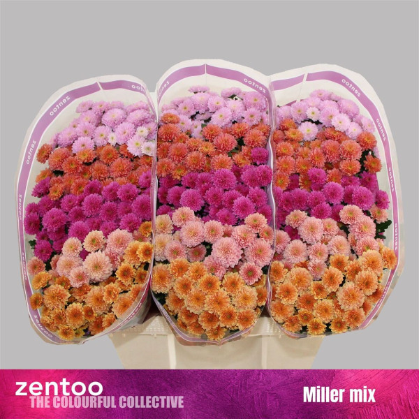 Chr S Gem Miller mix