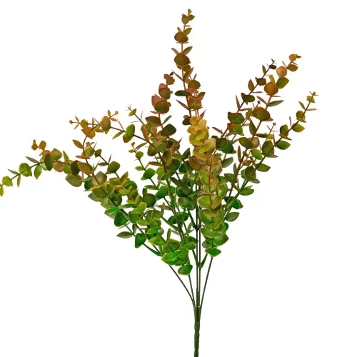 LD078-04 Havasi eukaliptusz, 5 ágú, 42cm magas - Barnás zöld