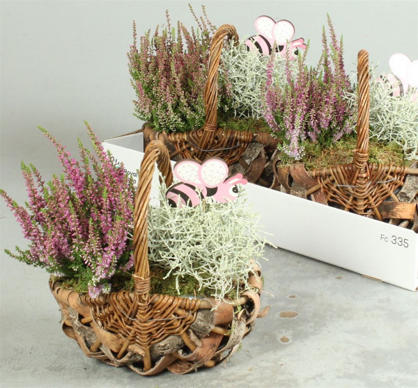 Arr Tuinplanten-2