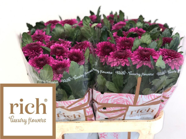 Chr G Barca Splendid Rich Luxury Flowers