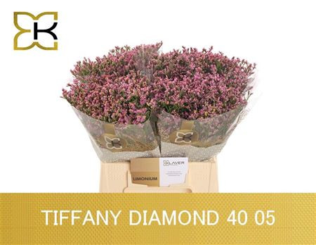 Lim Sin Tiffany Diam 50cm