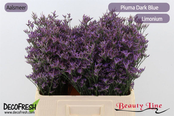 Lim Piuma Dark Blue