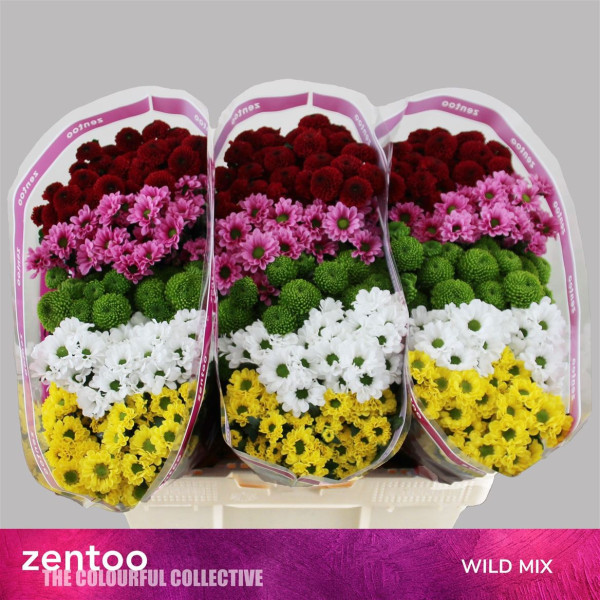 Chr S Gem Wild mix