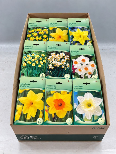 Bloembol Narcis