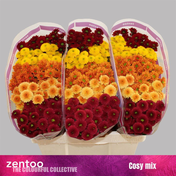 Chr S Gem Cosy mix