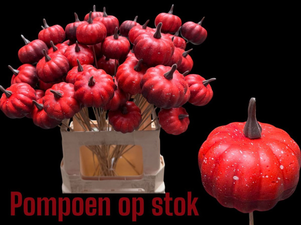 Piros tök