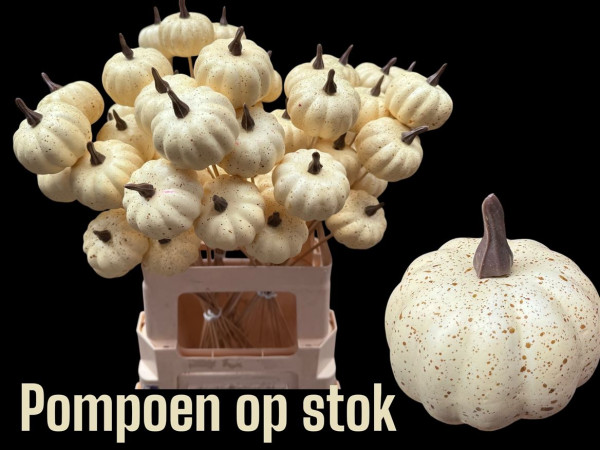 Fehér tök