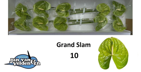 Grand Slam 10