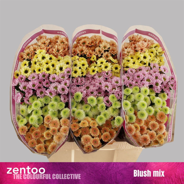 Chr S Gem Blush mix