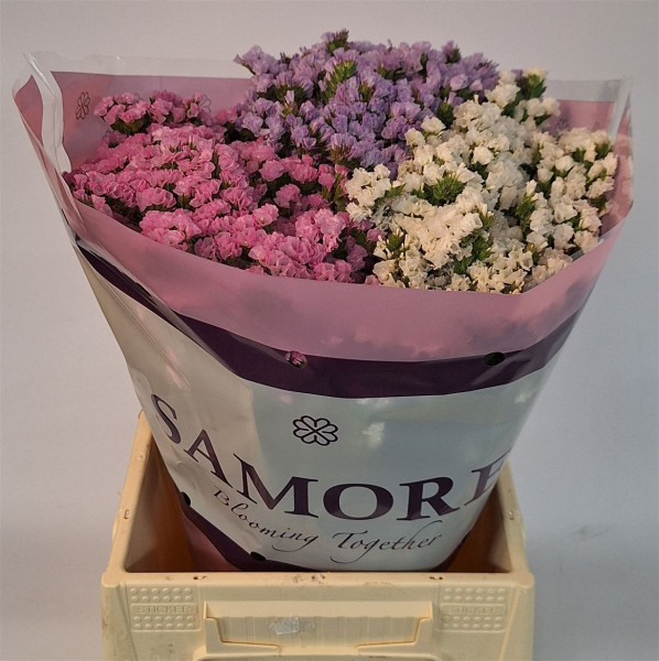 Gemengd 45cm Samore
